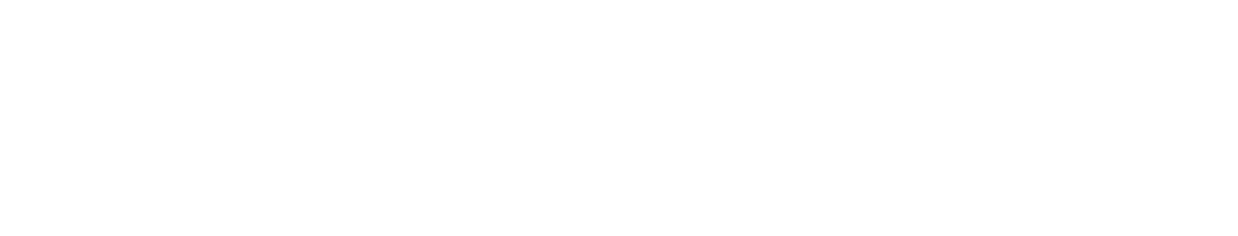 BOXXER лого